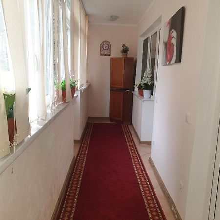 Apartament Alin Apartament Jassy Zewnętrze zdjęcie