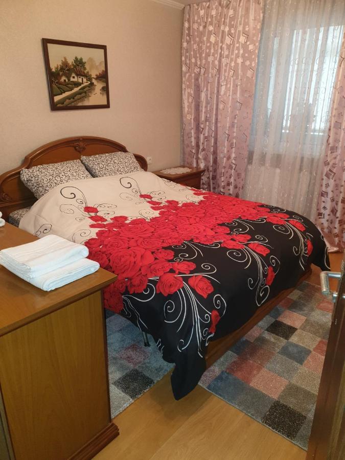 Apartament Alin Apartament Jassy Zewnętrze zdjęcie