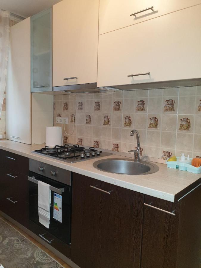 Apartament Alin Apartament Jassy Zewnętrze zdjęcie