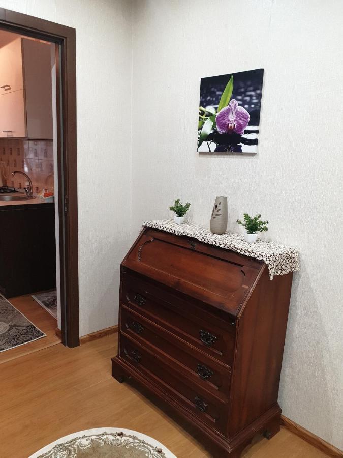 Apartament Alin Apartament Jassy Zewnętrze zdjęcie